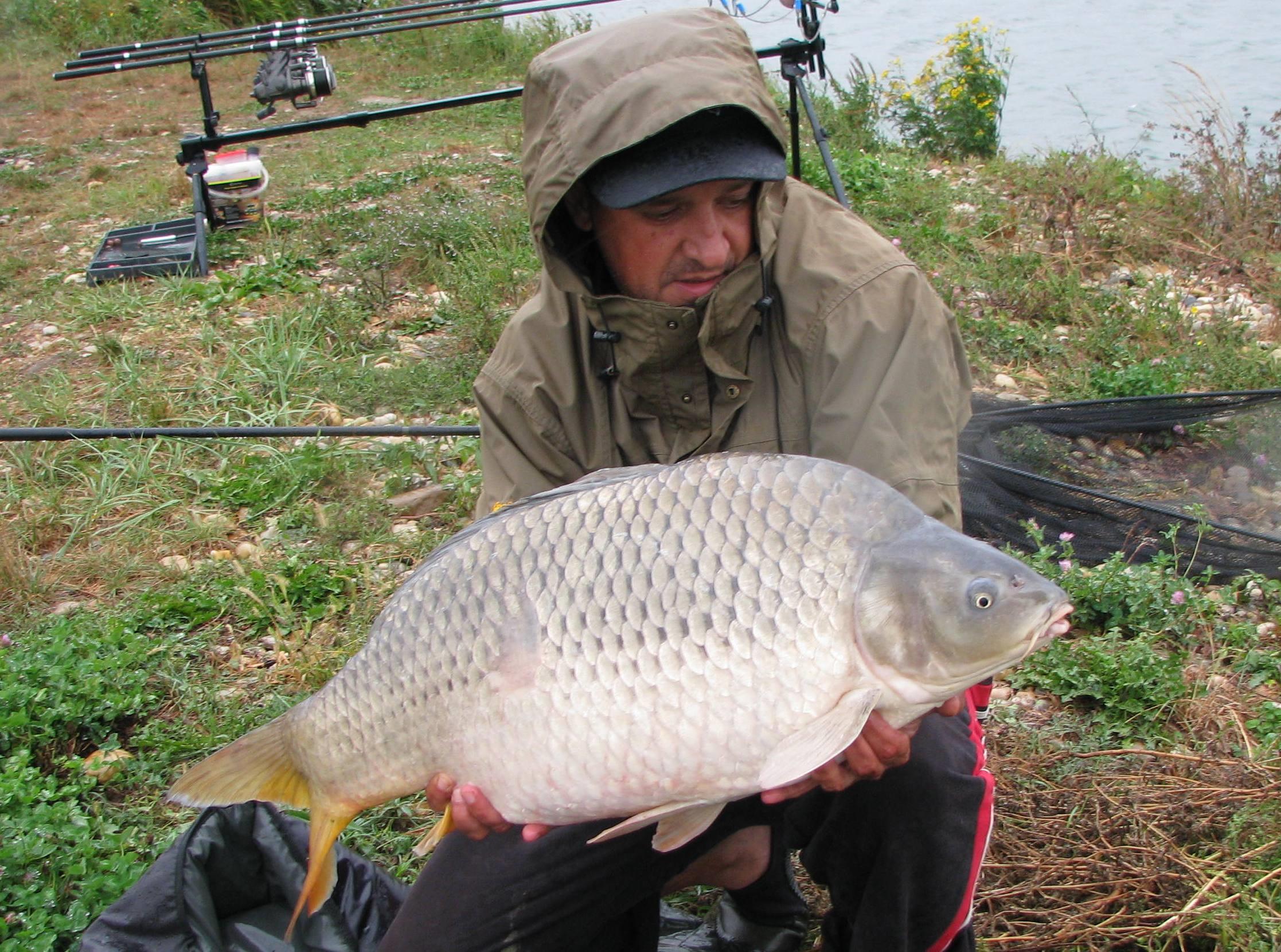 capturi - IMG_3518.JPG